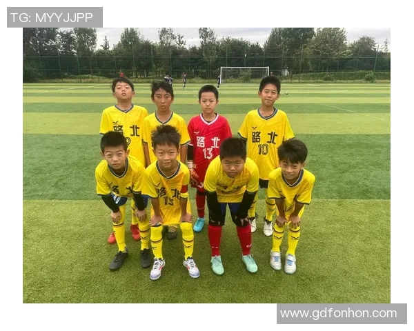 赛后分析：深圳足球队与上海足球队的团队协作表现及其影响因素探讨