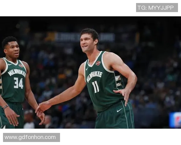 布鲁克洛佩斯:从篮球新星到NBA顶级中锋的辉煌历程与成就分析 布鲁克洛佩斯:从篮球新星到NBA顶级中锋的辉煌历程与成就分析