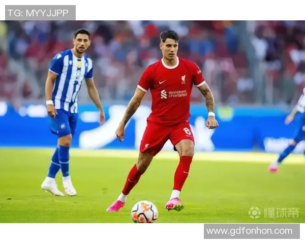 探寻索博斯洛伊的历史魅力与文化传承之旅