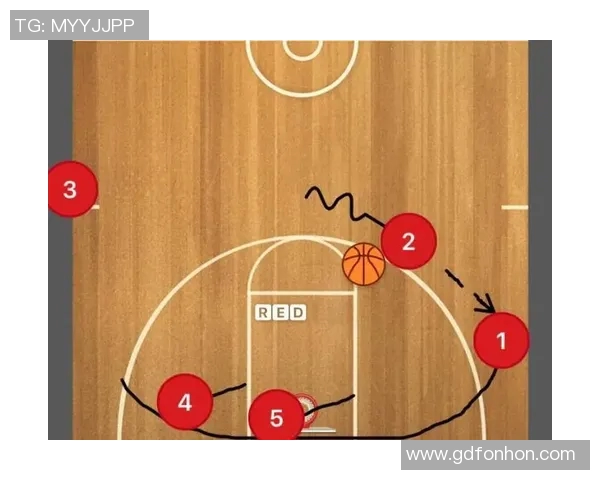 广州排球队阵地战打法深度分析与战术解读