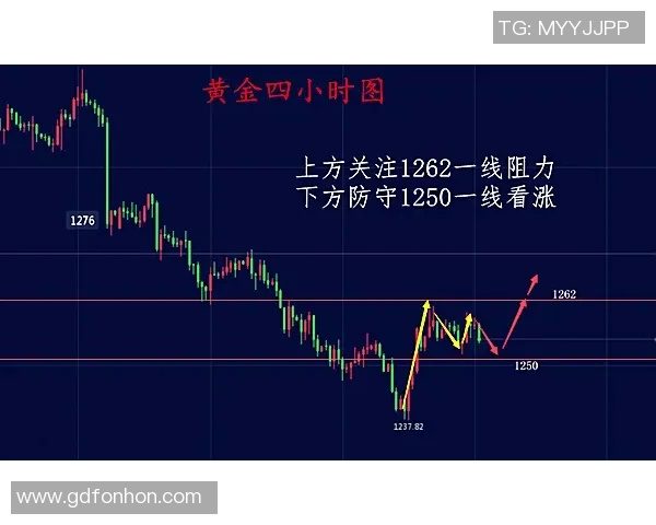 独家分析：FPX在比赛经验上的优势与劣势全面对比